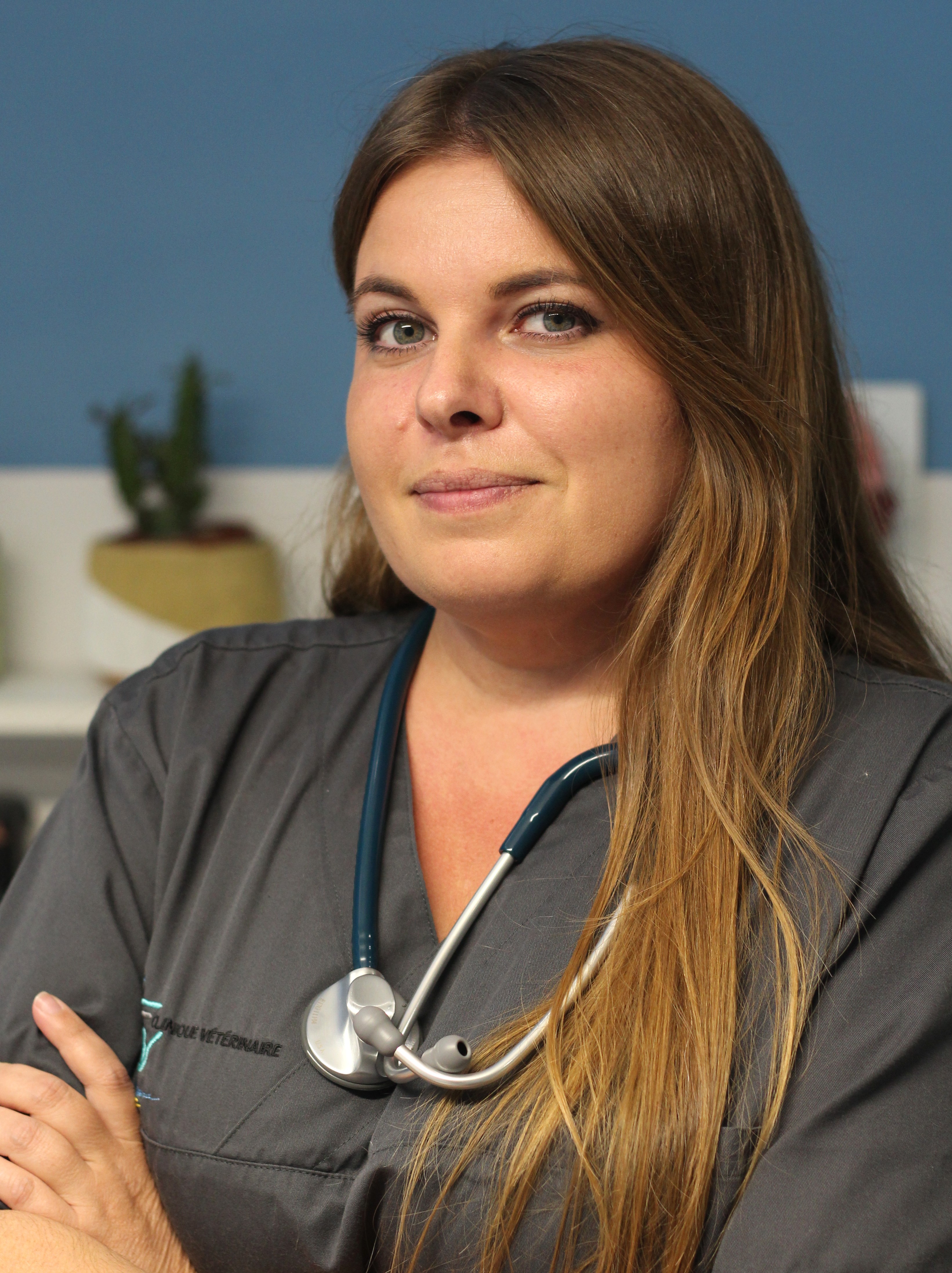 veterinaire du colombier