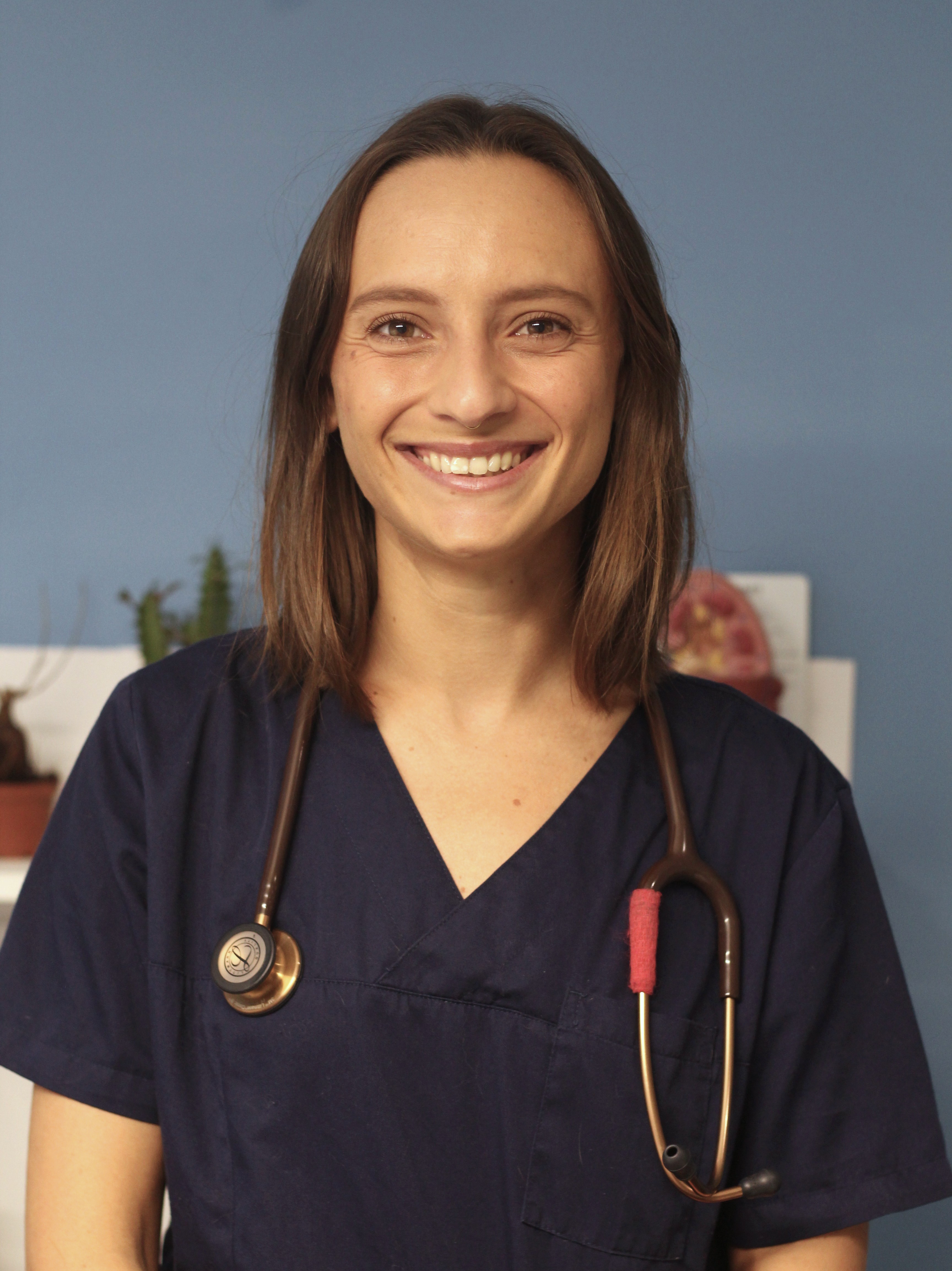 veterinaire du colombier